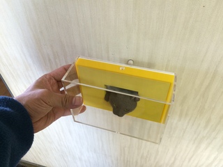 2015-03-26 15.15.23.jpg
