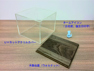 ファースト小3.jpg